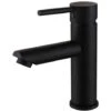 Robinet Mitigeur Lavabo En Laiton Noir - Corbeau -Bathroom Faucet Store 28355511 1