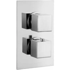 Cole Dual Square Control Concealed Valve Single Outlet