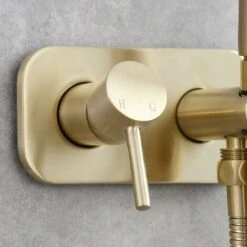 Stainless Steel Hand Shower Toilet Portable Bidet Kit Hot And Cold Water Shower Hose Bidet Toilet Complete Kit, Brushed Gold, WS024J2F2 -Bathroom Faucet Store 88295418 4